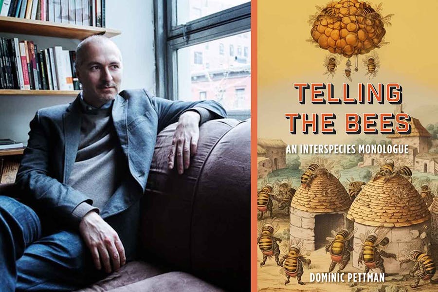 Two images: one is a photo of Dominic Pettman in his office. The other is the cover of TELLING THE BEES featuring an illustration of worker bees constructing cylandrical buildings with roofs of honey-colored bricks.