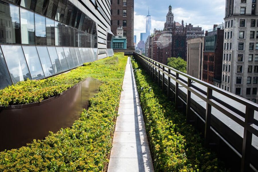 A view of the green roof of The New School's University Center, as well as buildings on 5th Avenue