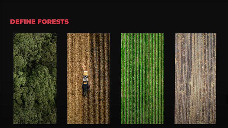Are Forests Money or Mitigation?