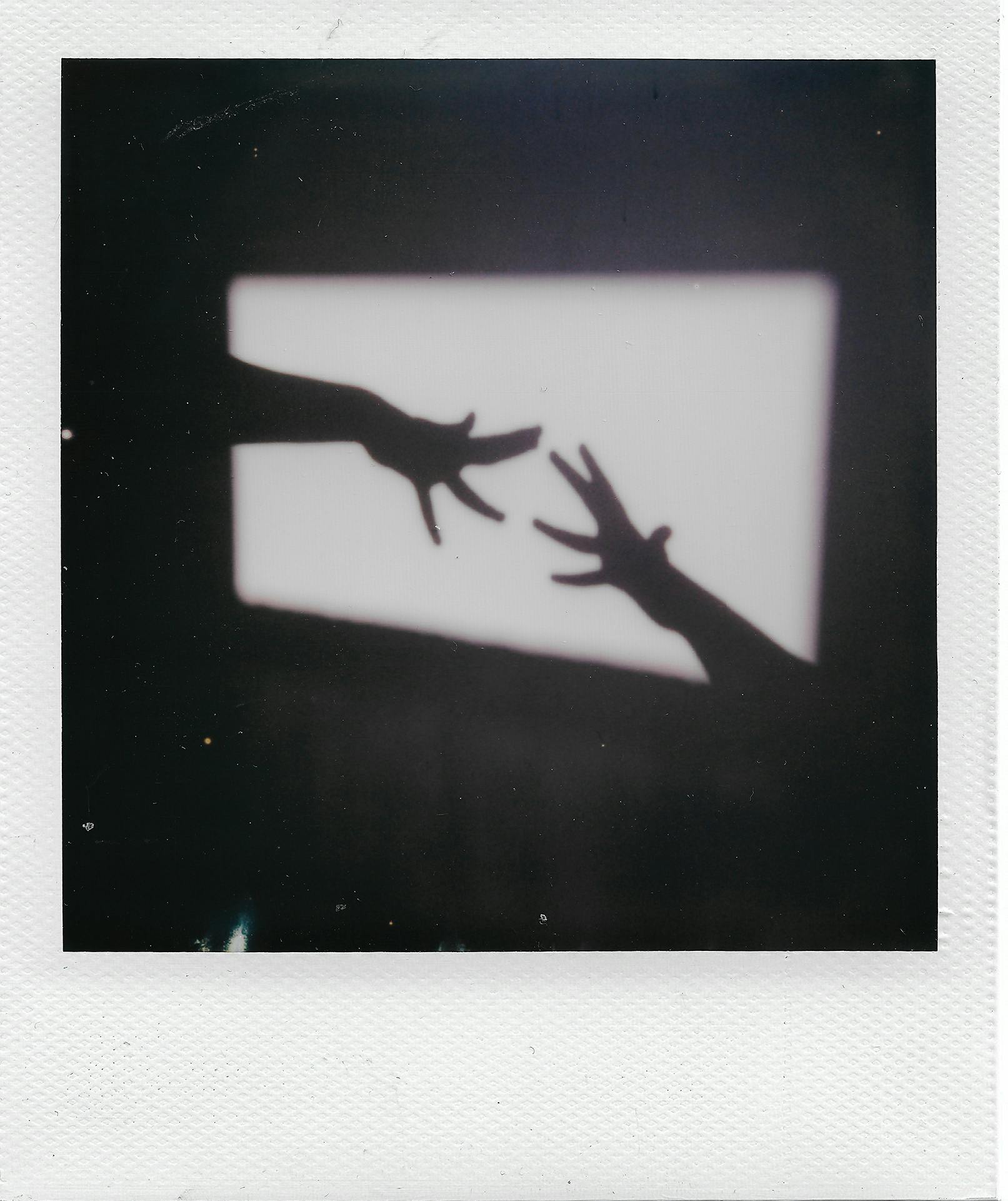 marissa-phipps-parsons-school-of-design