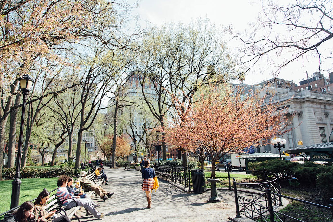 A University In New York City The New School