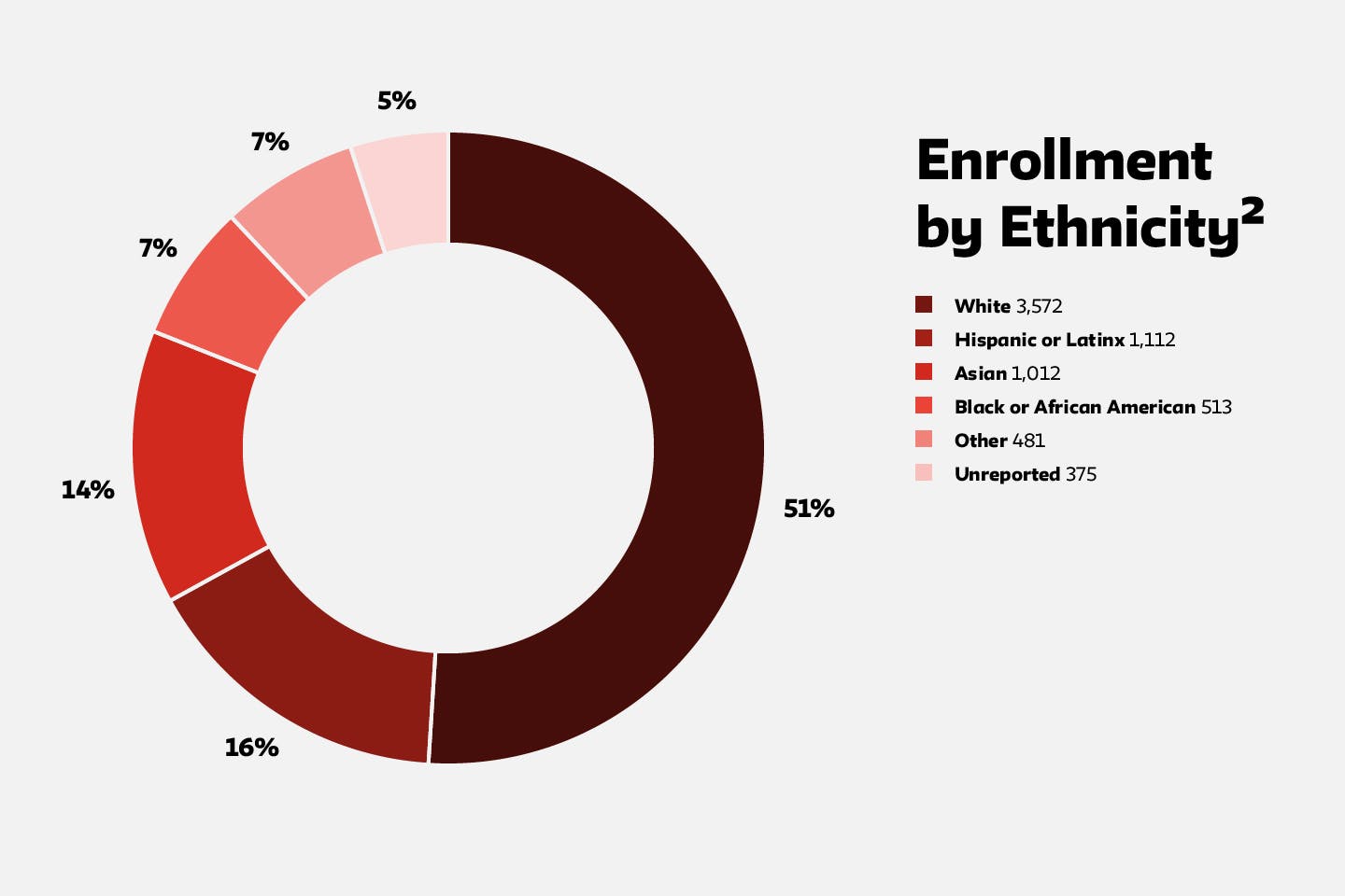 Enrollment by Ethnicity 2021