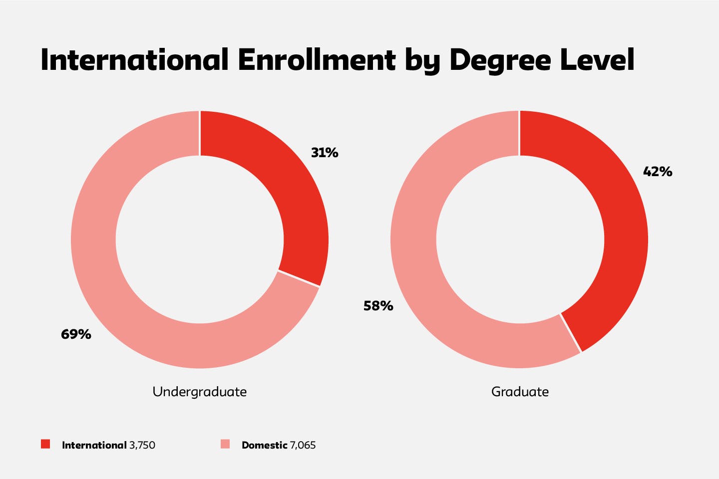 International Enrollment by Degree Level 2021