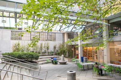 View of Lang courtyard with students at table and leaves in trellis