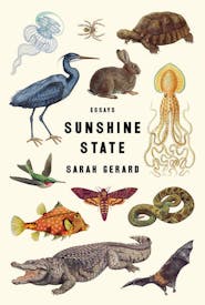 Sunshine State book cover